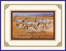 Load image into Gallery viewer, Desert Life Collection of Orientalist Art - DLC 1 On The Move - Arabian Oryx (Pack of 5 cards and envelopes) - manara