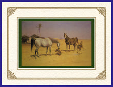 Load image into Gallery viewer, Desert Life Collection of Orientalist Art - DLC3 Playtime (Pack of 5 cards and envelopes) - manara